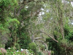 Vis et Lutz : Nos premiers visiteurs !